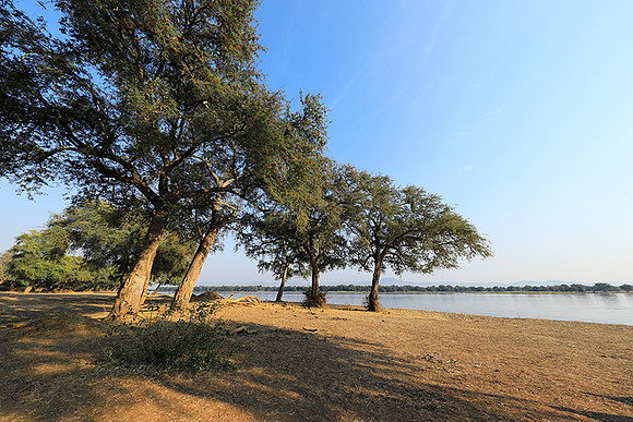 Tembo Plains