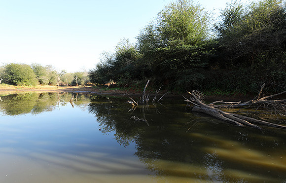 Dam lake Malilangwe