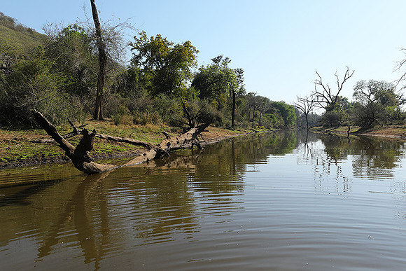 Dam lake Malilangwe