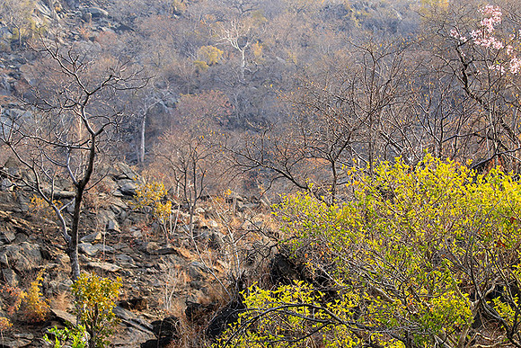 Gorge Sanyati - Matusadona NP