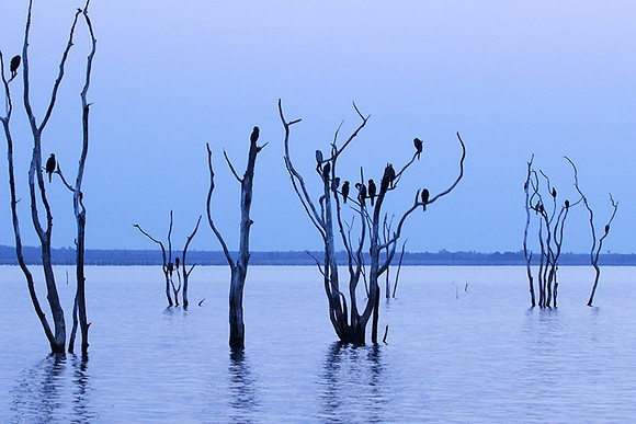 Lake Kariba - Matusadona NP