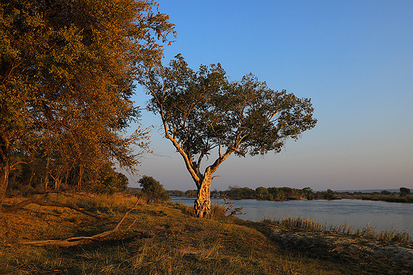 Matetsi game reserve