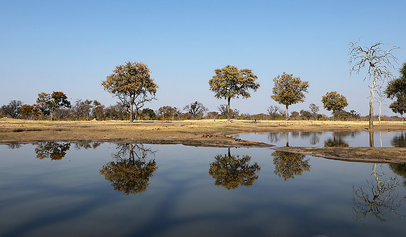 Hwange National Park