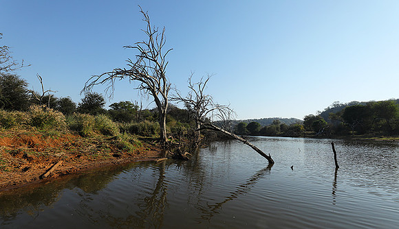 Dam lake Malilangwe
