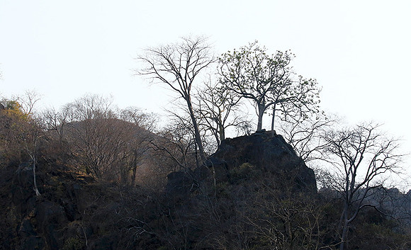 Gorge Sanyati - Matusadona NP