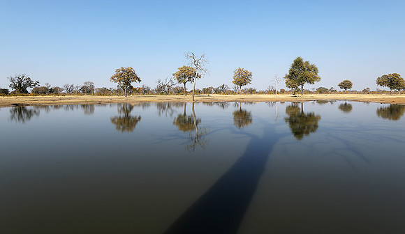 Hwange National park