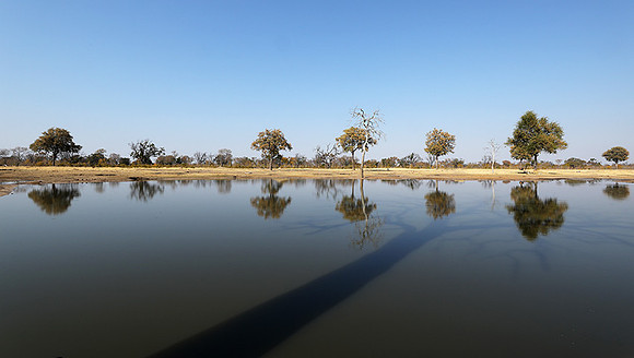 Hwange National park
