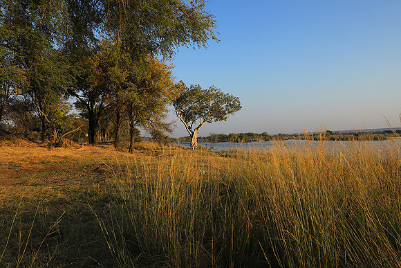 Matetsi game reserve