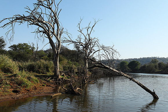 Dam lake Malilangwe