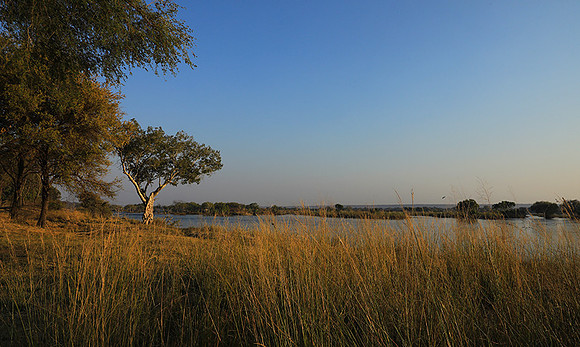 Matetsi game reserve
