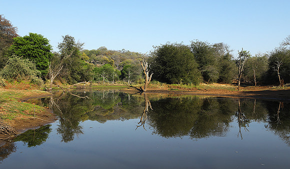 Dam lake Malilangwe