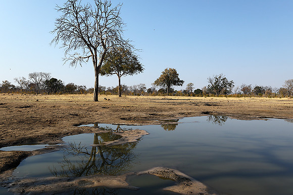 Hwange National Park