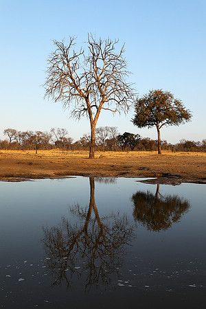 Hwange National Park