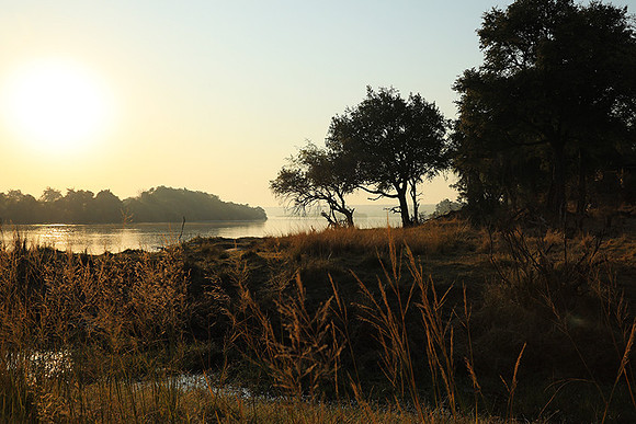 Matetsi game reserve