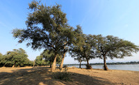 Tembo Plains