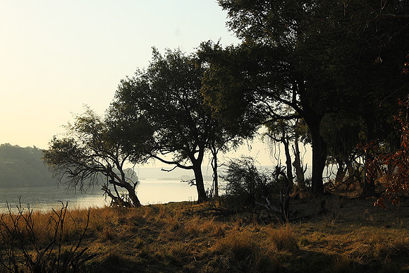 Matetsi game reserve