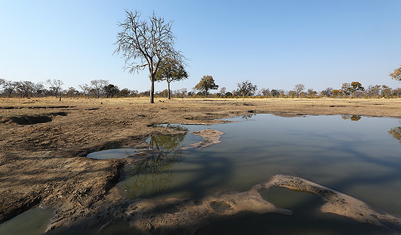 Hwange National Park