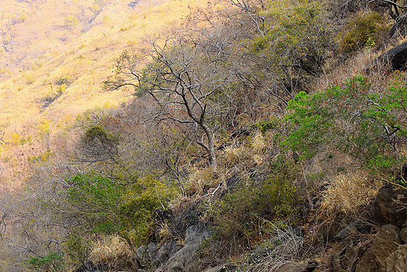 Gorge Sanyati - Matusadona NP