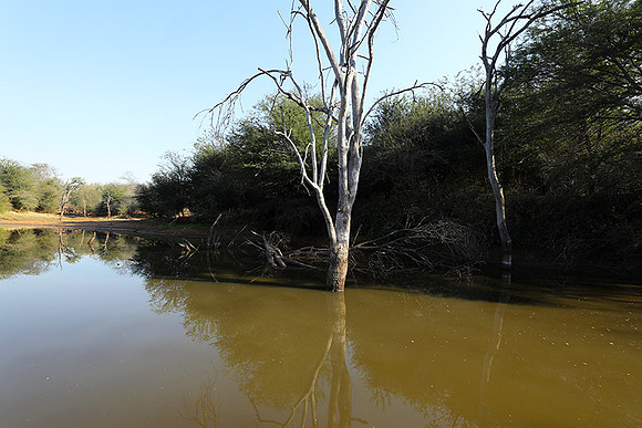 Dam lake Malilangwe