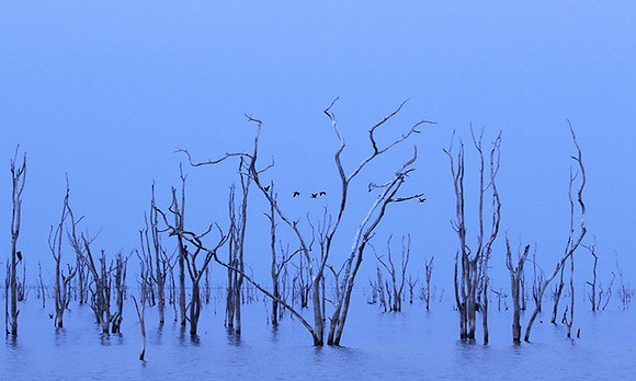 Lake Kariba - Matusadona NP