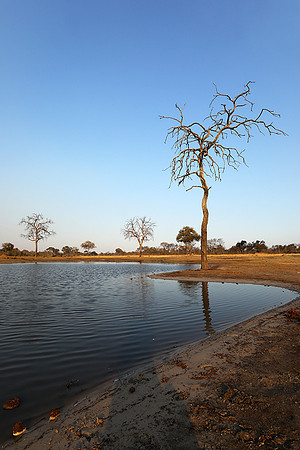 Hwange National Park