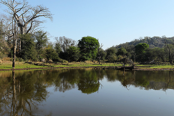 Dam lake Malilangwe