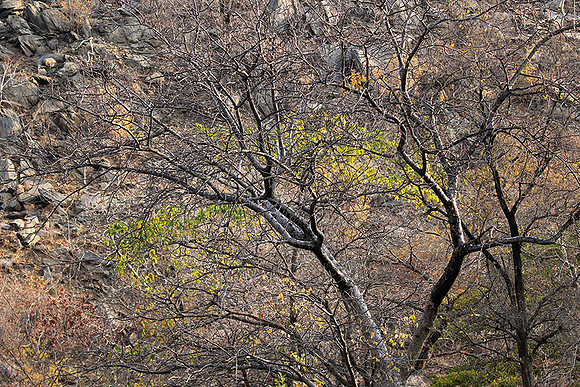 Gorge Sanyati - Matusadona NP