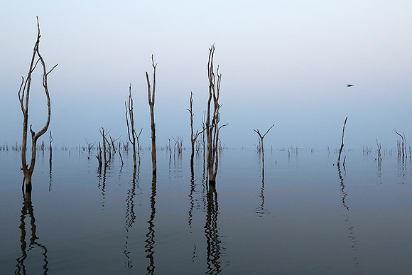 Lake Kariba - Matusadona NP