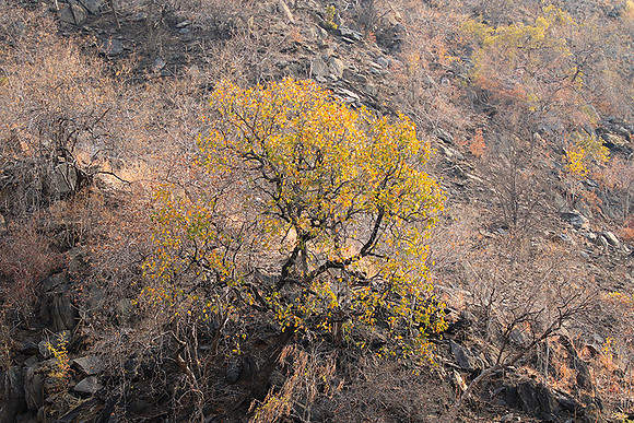 Gorge Sanyati - Matusadona NP
