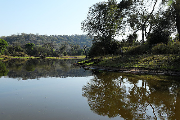 Dam lake Malilangwe