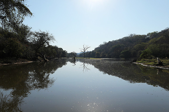 Dam lake Malilangwe