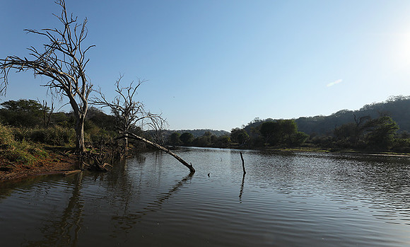 Dam lake Malilangwe