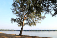 Tembo Plains