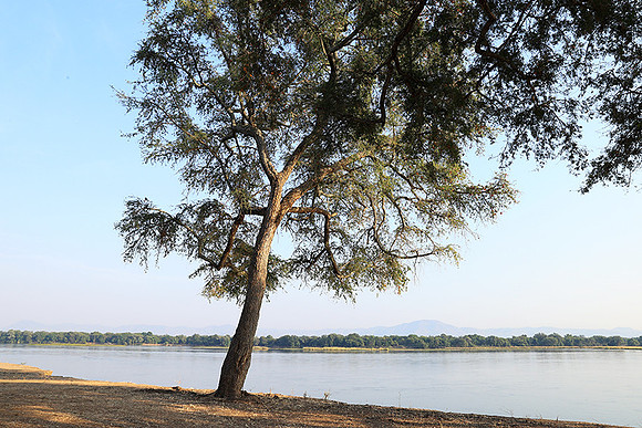 Tembo Plains