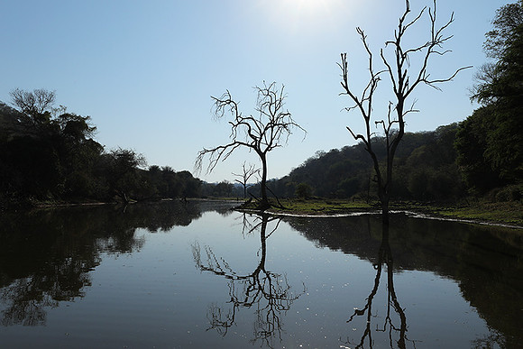 Dam Malilangwe lake