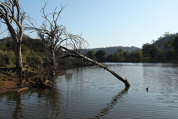 Dam lake Malilangwe