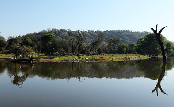 Dam lake Malilangwe