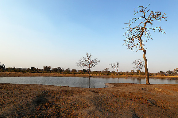 Hwange National park