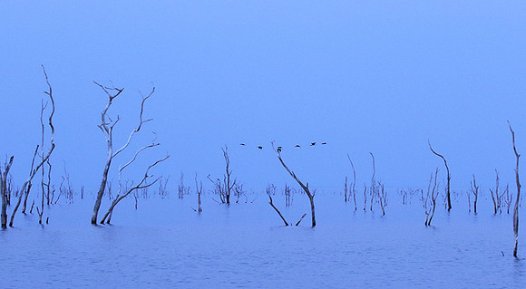 Lake Kariba - Matusadona NP