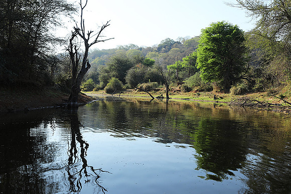 Dam Malilangwe lake
