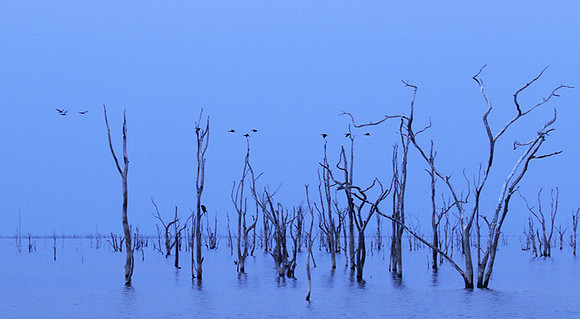Lake Kariba - Matusadona NP