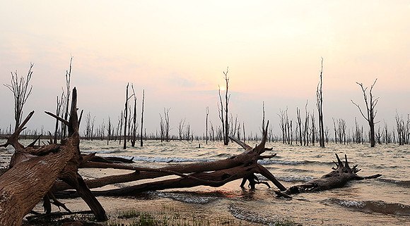 Lake Kariba - Matusadona NP