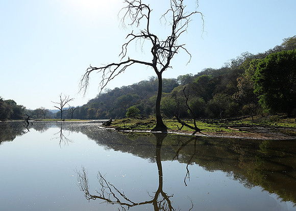 Dam Malilangwe lake