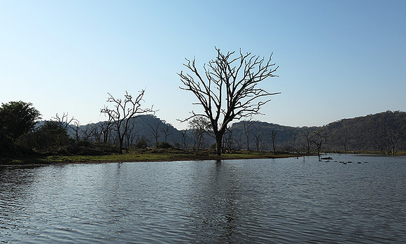 Dam lake Malilangwe