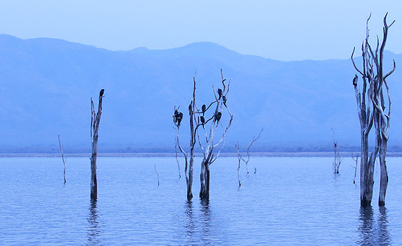 Lake Kariba - Matusadona NP