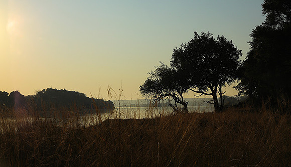 Matetsi game reserve
