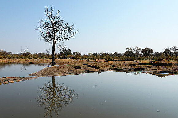 Hwange National Park
