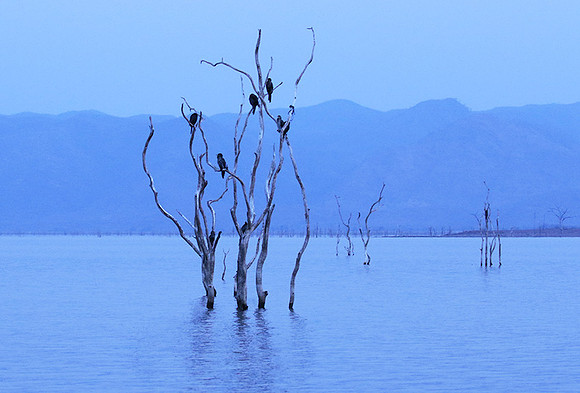 Lake Kariba - Matusadona NP