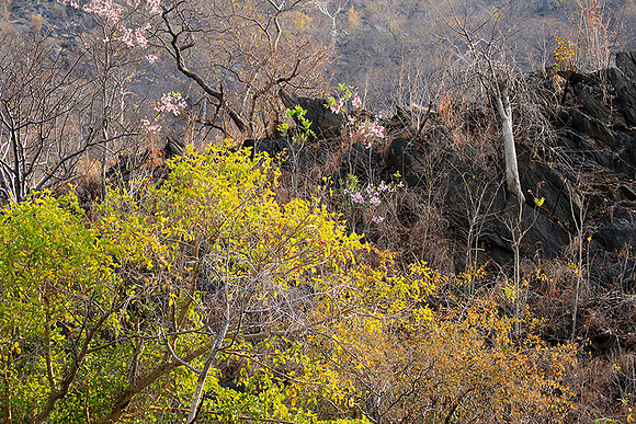 Gorge Sanyati - Matusadona NP