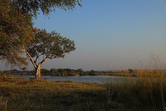 Matetsi game reserve